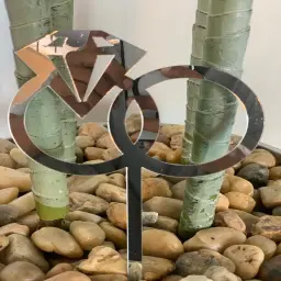 Engagement Gift